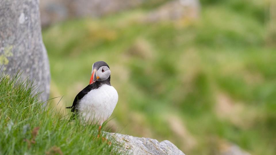 Lenkje til artikkel: Innspelsmøte om kommunedelplan for naturmangfald