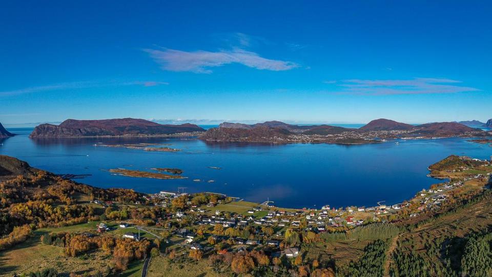 Lenkje til artikkel: Bli med i Herøy ungdomsråd!