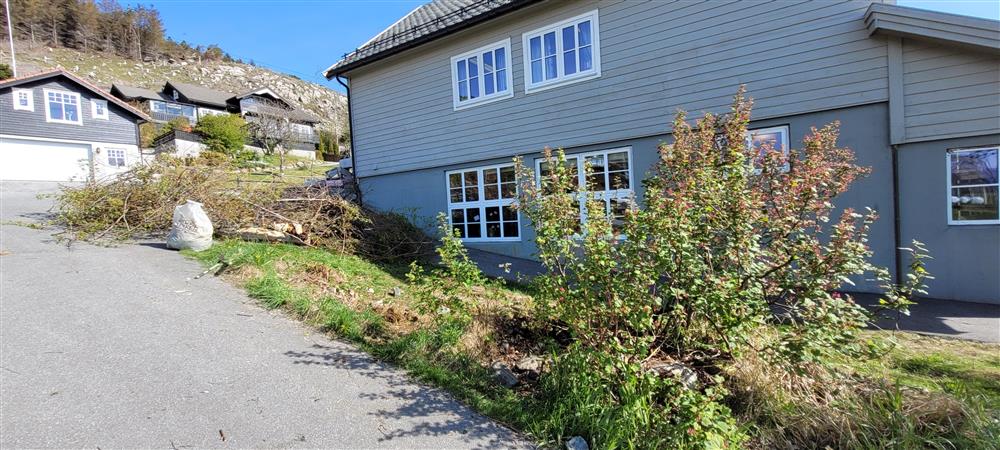 Klikk for stort bilete