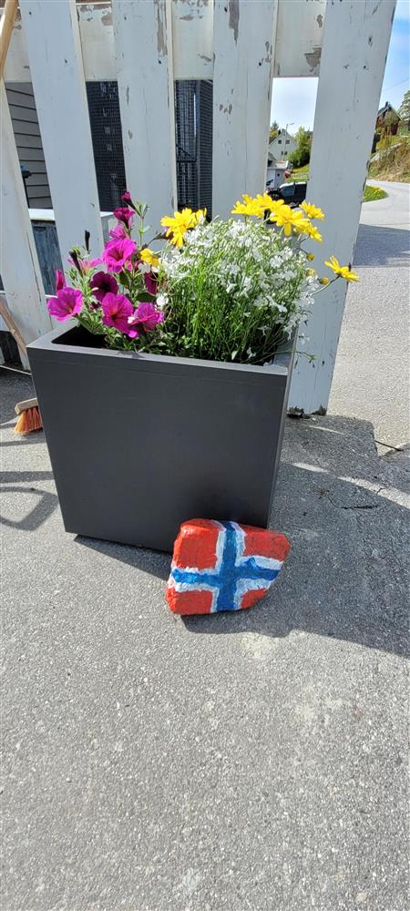Klikk for stort bilete